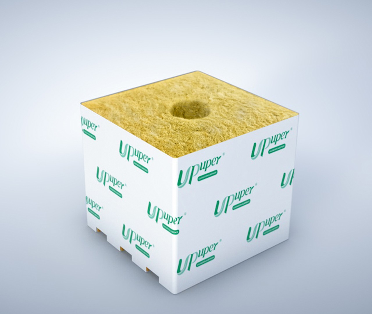 cloning in rockwool cubes