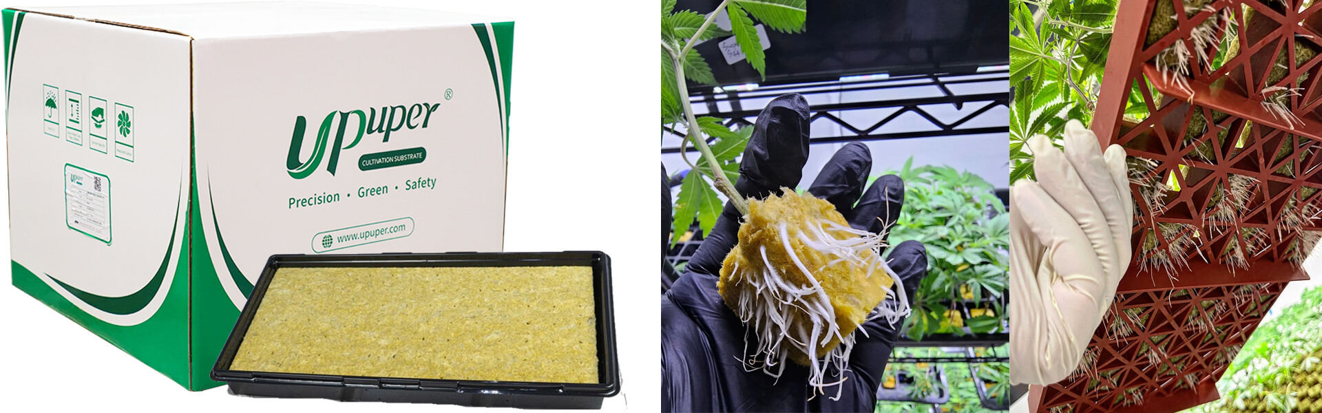 UPuper rockwool cubes cloning.jpg