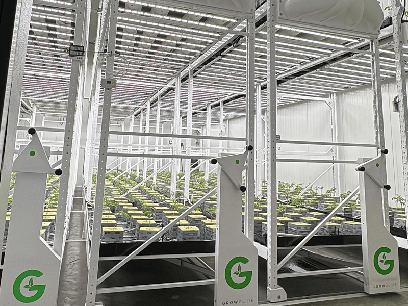 indoor medical cannabis cultivation facility.png