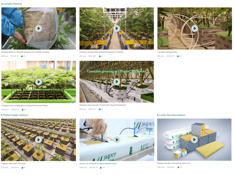 1775808969849721.png UPuper cannabis cultivation rock wool video part.png