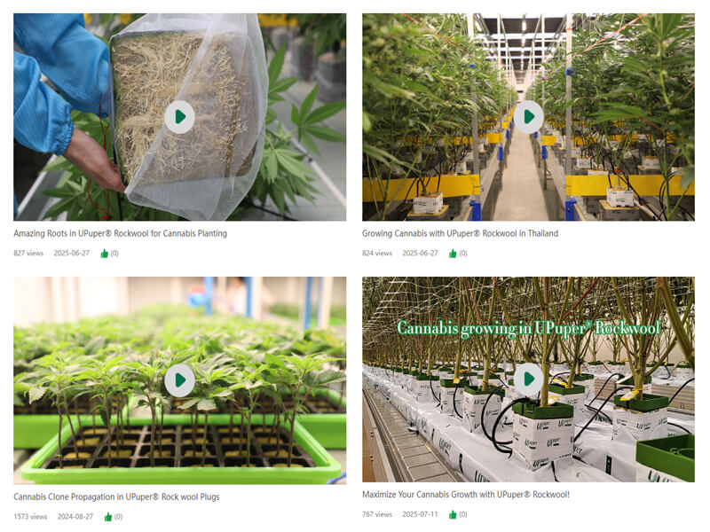 1775809059674632.jpg Rockwool hydroponic growing guide video tutorials.jpg