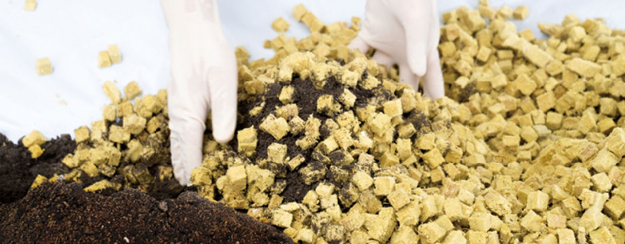 1649173613136569.jpg schemes3.jpg